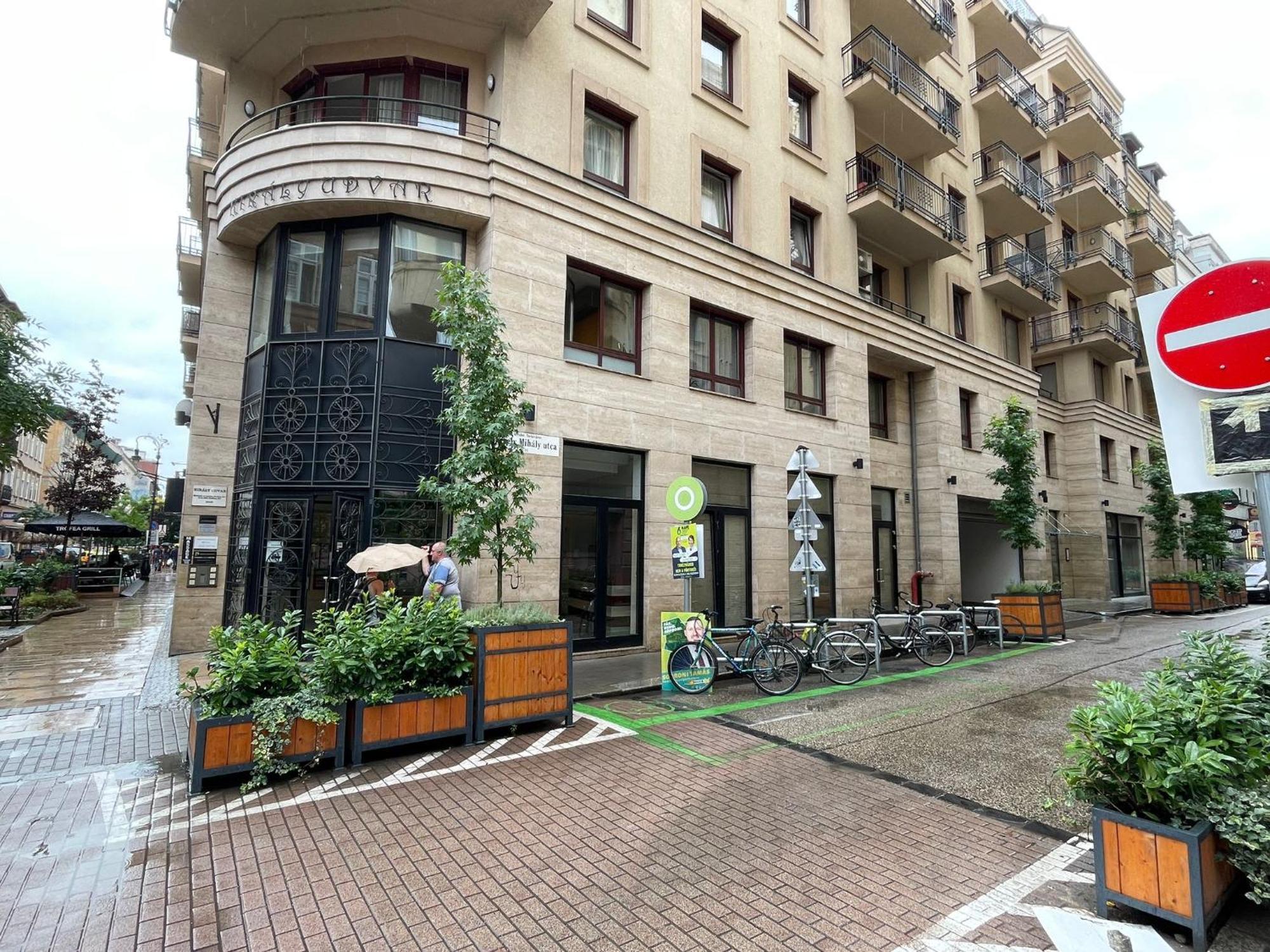 Szekely Near Deak Ferenc Square With Free Parking In Garage Apartament